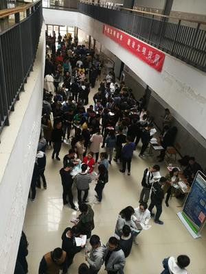 信息工程系成功举办2019届毕业生顶岗实习与就业推荐双选会，百纳信息技术受热捧